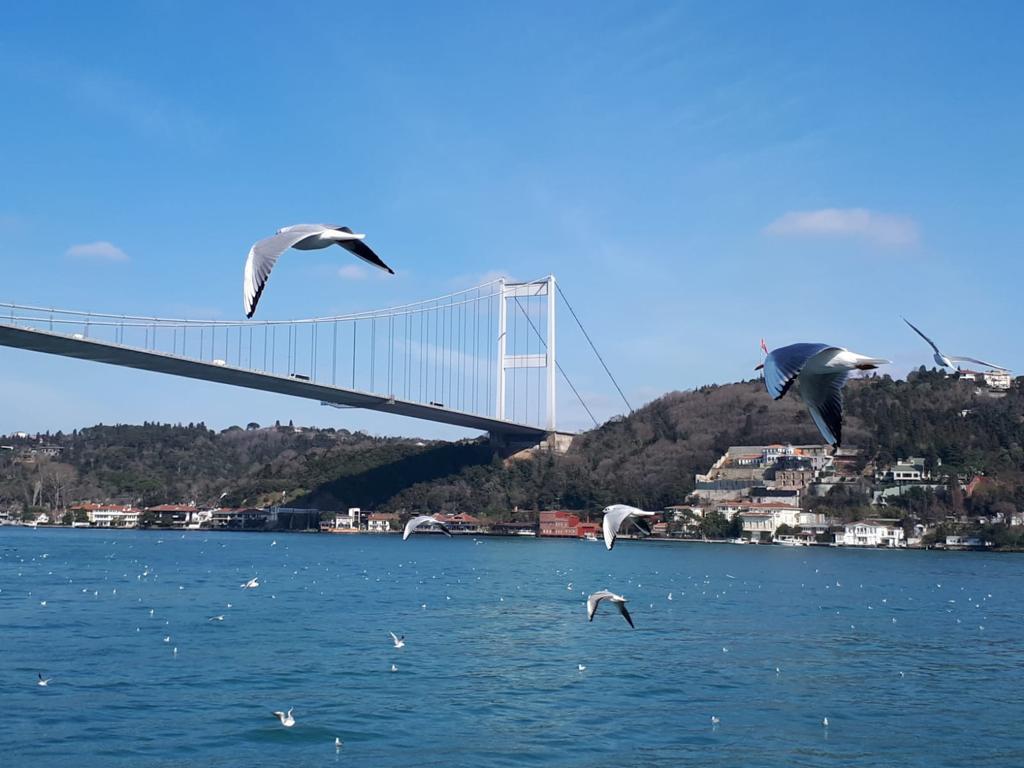 Bosphorus Night Cruise 